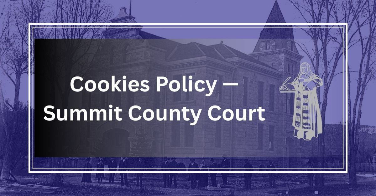 Cookies Policy — Summit County Court